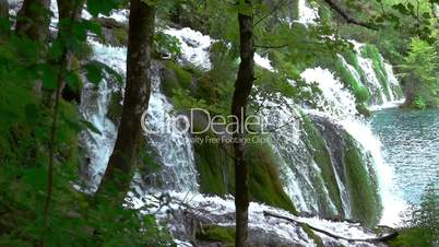Forest River with lots of Waterfalls. Slow Motion