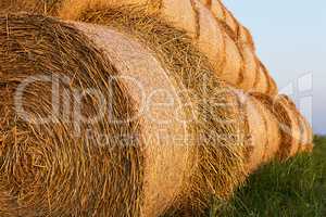 Bales of Hay Rolled Into Stacks. Rolls of Wheat in the Grass. Ba