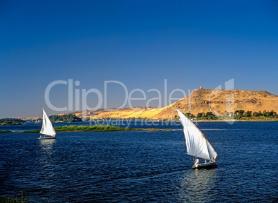 Feluccas on River Nile