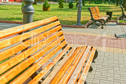 Bench in town square