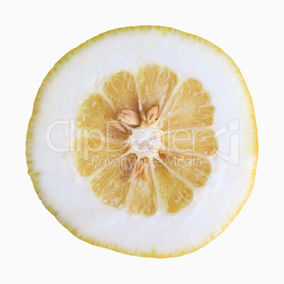 Citron citrus fruit