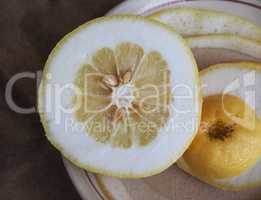 Citron citrus fruit