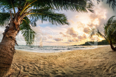 Tropischer Strand bei Sonnenuntergang, ein Paradies mit Sand und