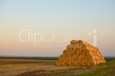 Bales of Hay Rolled Into Stacks