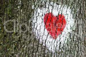 Red Heart Painted on Tree