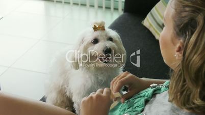 14-Woman Dog Owner Putting Flea Collar To Pet