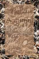 Vertical Card, Hello Autumn