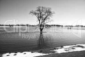 Elbe im Winter