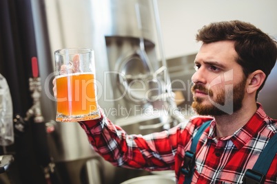 Manufacturer examining beer at brewery