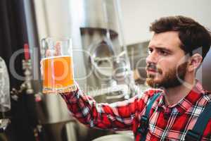 Manufacturer examining beer at brewery