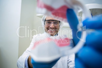 Dentist holding a mouth model