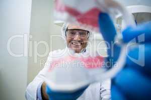 Dentist holding a mouth model