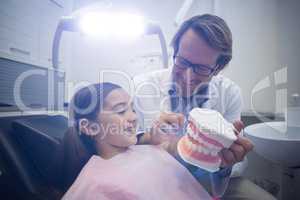 Dentist showing model teeth to patient