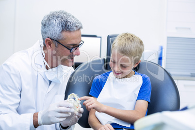 Dentist showing model teeth to patient