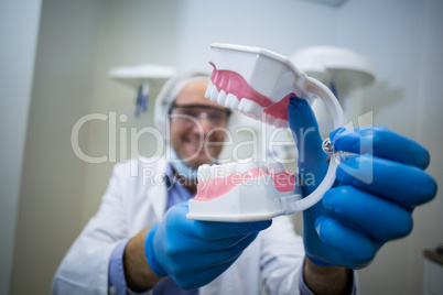 Dentist holding a mouth model