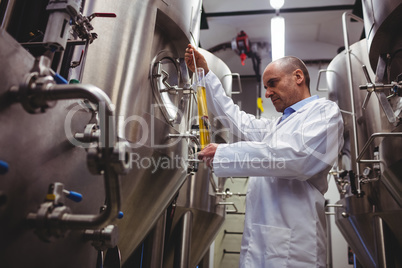 Low angle view of manufacturer examining beer
