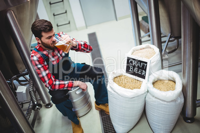 Manufacturer drinking beer at brewery