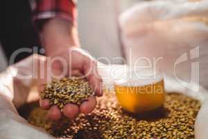 Man holding barley by beer glass in sack at brewery