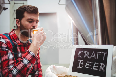 Manufacturer tasting beer at brewery