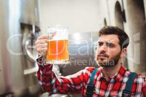 Manufacturer examining beer in jug at brewery