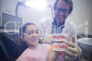 Dentist showing model teeth to patient