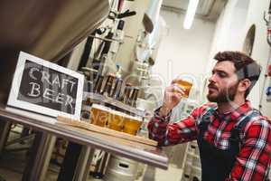 Manufacturer examining beer in brewery