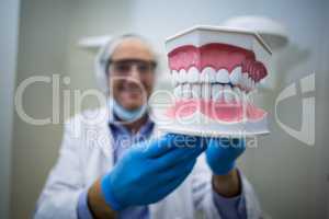 Dentist holding a mouth model