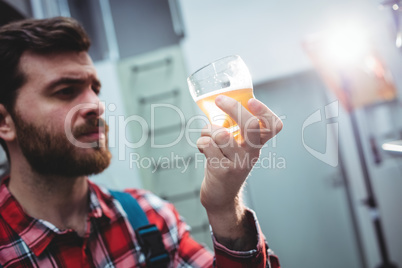 Manufacturer holding beer glass at brewery