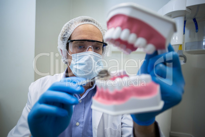 Dentist holding and examining a mouth model