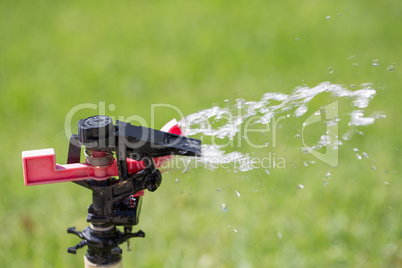 Watering grass sprinkler