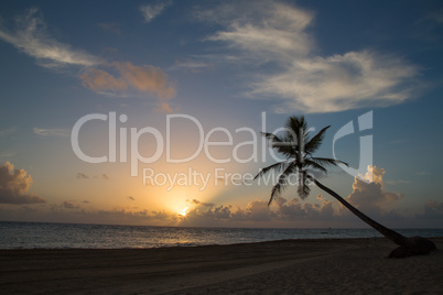 Tropical Sunrise beach