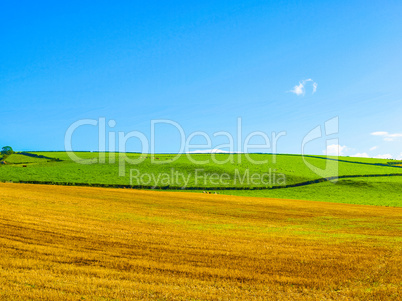 Cardross hill HDR