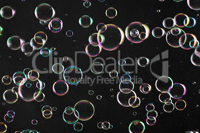 Soap Bubbles