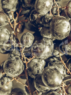 Grape vintage desaturated