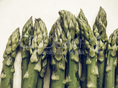 Asparagus vegetable vintage desaturated