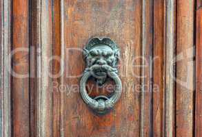 Iron lion doorknob on wooden door
