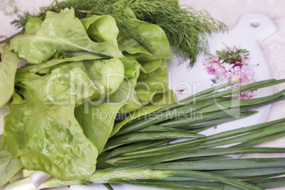 Vegetables: green onions, lettuce and dill