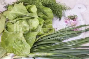 Vegetables: green onions, lettuce and dill