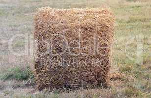 A bale of straw on a field after harvest.