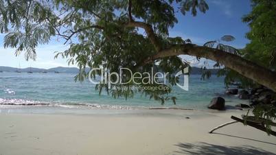 Tropical beach with rocks and tree