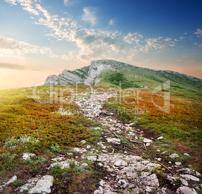 Plateau of a mountain