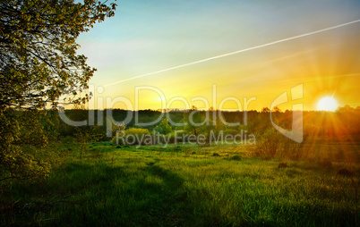 Landscape with the sunrise over the meadow and lines from the ai