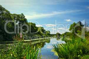 Summer landscape with a river