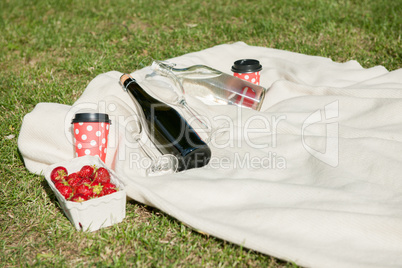 Champagne bottle on blanket