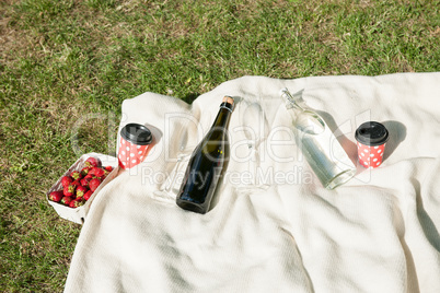 Champagne bottle on blanket