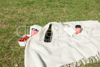 Champagne bottle on blanket