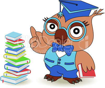 Serious Teacher Owl in glasses and in mortarboard
