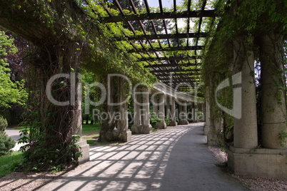 Breslau Pergola - Wroclaw Peergola in the park