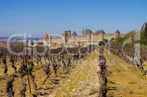 Cite von Carcassonne Weinberg  - Castle of Carcassonne and vineyard, France