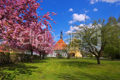Luebben Schloss - Luebben castle in spring